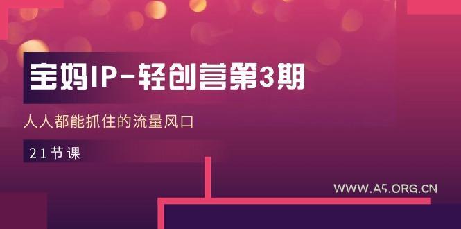 宝妈IP-轻创营第3期,人人都能抓住的流量风口(21节课-A5资源网