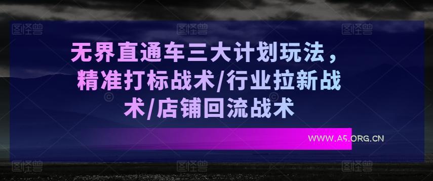 无界直通车三大计划玩法,精准打标战术/行业拉新战术/店铺回流战术-A5资源网