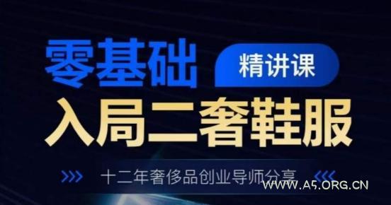 零基础入局二奢鞋服精讲课,十二年奢侈品创业导师分享-A5资源网