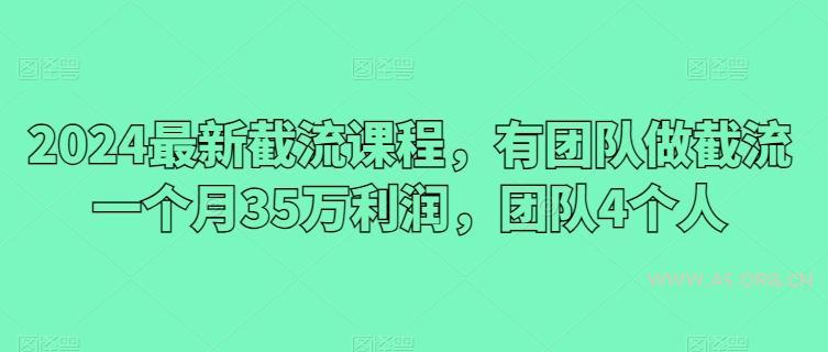 2024最新截流课程,有团队做截流一个月35万利润,团队4个人-A5资源网