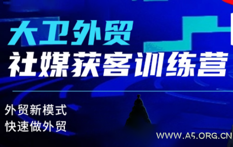 大卫老师·外贸社媒获客独家训练营(更新10月)-A5资源网
