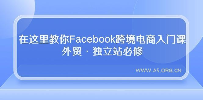 在这里教你Facebook跨境电商入门课,外贸·独立站必修-A5资源网