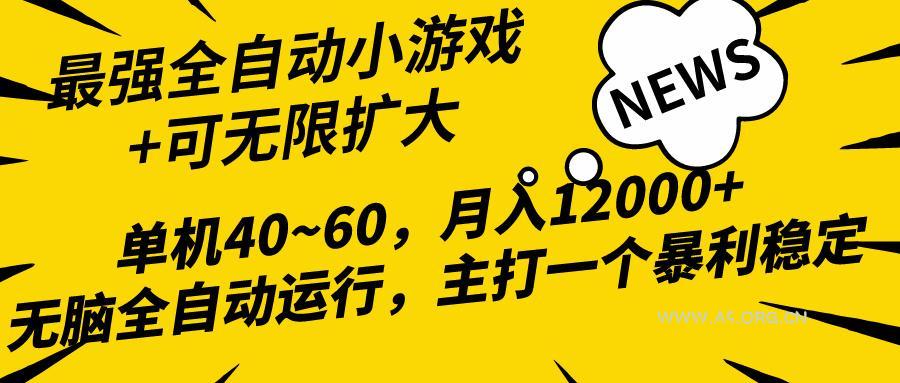 (10046期)2024最新全网独家小游戏全自动，单机40~60,稳定躺赚，小白都能月入过万-A5资源网