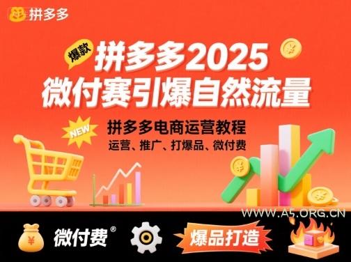 拼多多2025微付费引爆自然流量,拼多多电商运营教程,运营、推广、打爆品、微付费(更新)-A5资源网