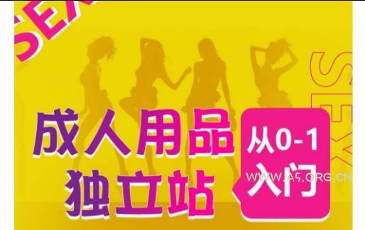 成人用品独立站从0-1入门,成品独立站运营全流程教学,七大好卖成品独立站推荐-A5资源网