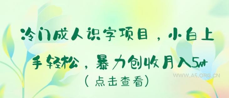 冷门成人识字项目,小白上手轻松,暴力创收月入5w+【揭秘】-A5资源网