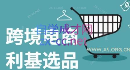 阿甘·2024年跨境电商选品案例-A5资源网