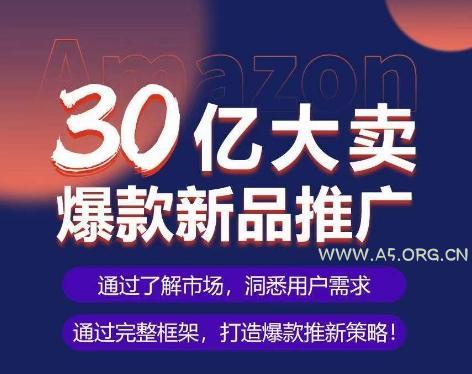 亚马逊·30亿大卖爆款新品推广,可复制、全程案例实操的爆款推新SOP-A5资源网