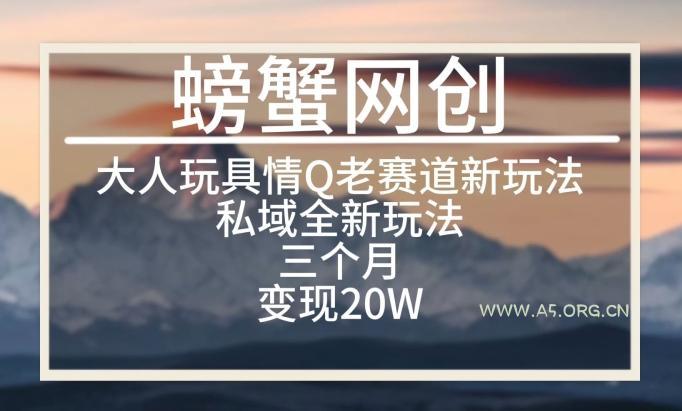 大人玩具情Q用品赛道私域全新玩法,三个月变现20W,老项目新思路【揭秘】-A5资源网