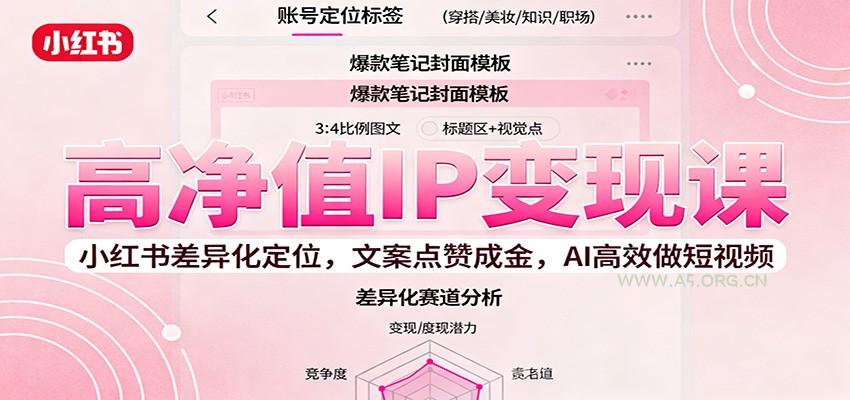 高净值IP变现课:小红书差异化定位,文案点赞成金, AI高效做短视频-A5资源网