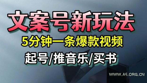 文案号新玩法,5分钟一条爆款视频,流量高,起号快,多方位变现-A5资源网