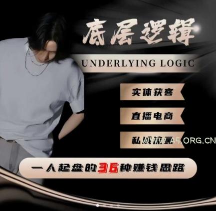 一个人起盘的底层逻辑,私域流量-直播电商-实体获客,一人起盘的36种賺钱思路-A5资源网