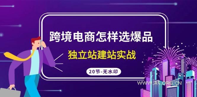 (9369期)跨境电商怎样选爆品,独立站建站实战(20节高清无水印课)-A5资源网