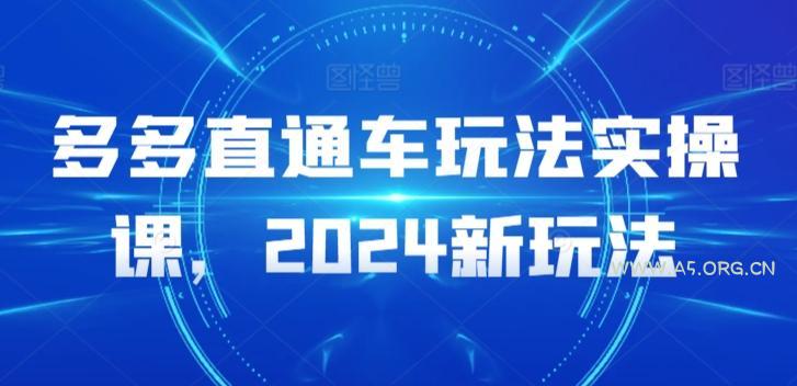 多多直通车玩法实操课,2024新玩法-A5资源网