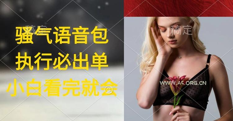 (9589期)执行就出单,日入2000+,超火骚气语音包,小白看完课程就能马上实操-A5资源网