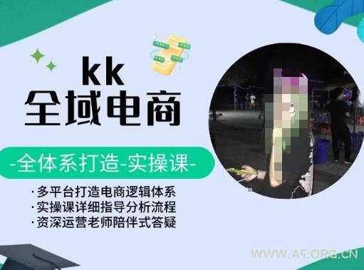 KK全域电商,全体系打造实操课,多平台打造电商逻辑体系-A5资源网