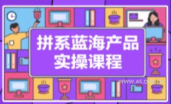 拼系冷门蓝海产品实操课程,从注册店铺到选品上架到流量维护环环相扣-A5资源网