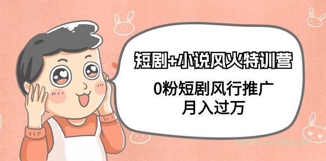 (9374期)短剧+小说风火特训营,0粉短剧风行推广,月入过万(102节课)-A5资源网