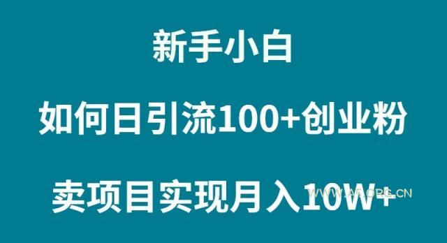 (9556期)新手小白如何通过卖项目实现月入10W+-A5资源网
