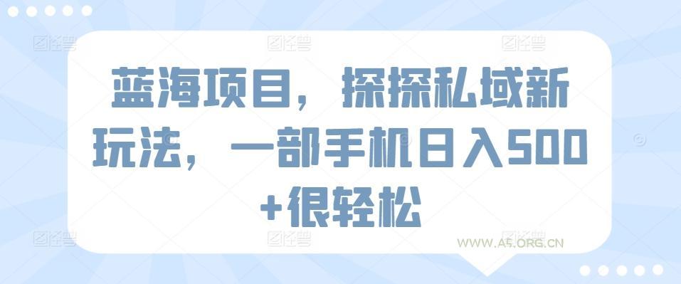 蓝海项目，探探私域新玩法，一部手机日入500+很轻松【揭秘】-A5资源网