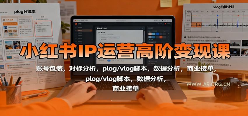 小红书IP运营高阶变现课:账号包装,对标分析,plog/vlog脚本,数据分析,商业接单-A5资源网