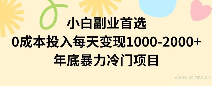 小白副业首选,0成本投入,每天变现1000-2000年底暴力冷门项目【揭秘】-A5资源网