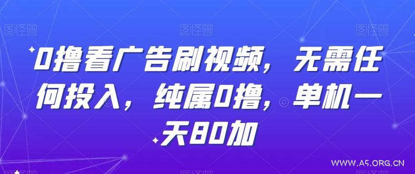 0撸看广告刷视频,无需任何投入,纯属0撸,单机一天80加-A5资源网