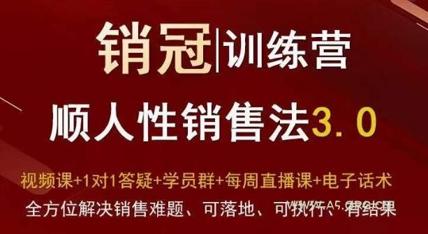 爆款!销冠训练营3.0之顺人性销售法,全方位解决销售难题、可落地、可执行、有结果-A5资源网