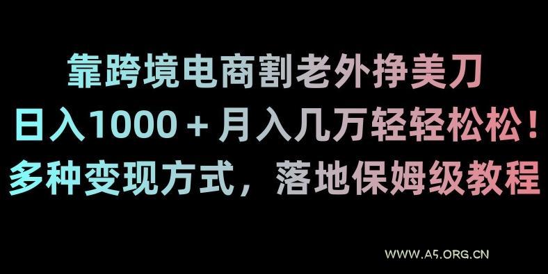 靠跨境电商割老外挣美刀,日入1000+月入几万轻轻松松!多种变现方式,落地保姆级教程【揭秘】-A5资源网