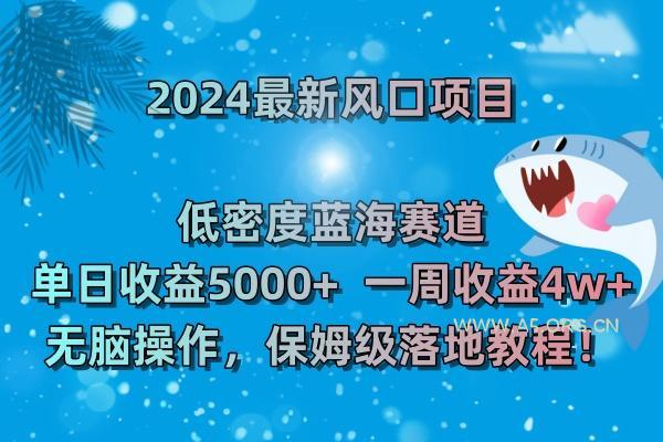 (8545期)2024最新风口项目 低密度蓝海赛道,日收益5000+周收益4w+ 无脑操作,保…-A5资源网