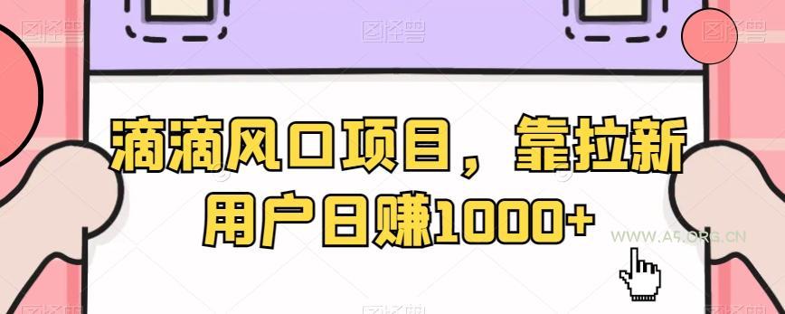 滴滴风口项目,靠拉新用户日赚1000+-A5资源网
