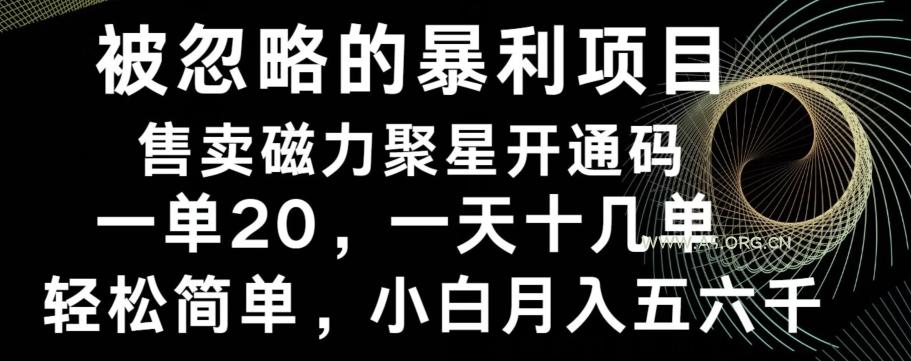 被忽略的暴利项目!售卖磁力聚星开通码,一单20,一天十几单,轻松月入五六千-A5资源网