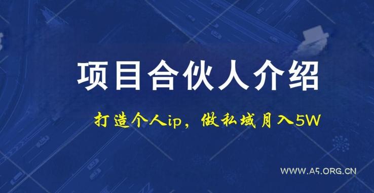 项目合伙人项目,打造个人IP,做私域月入5W,小白勿扰-A5资源网