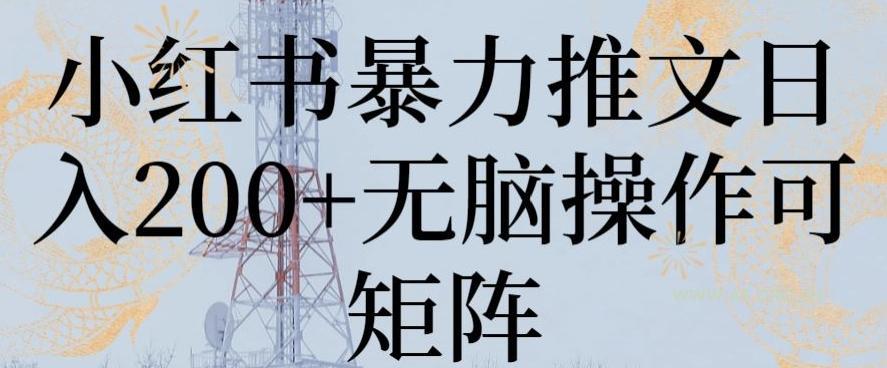 小红书暴力推文日入200+无脑操作可矩阵【揭秘】-A5资源网