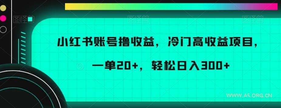 小红书账号撸收益,冷门高收益项目,一单20+,轻松日入300+【揭秘】-A5资源网