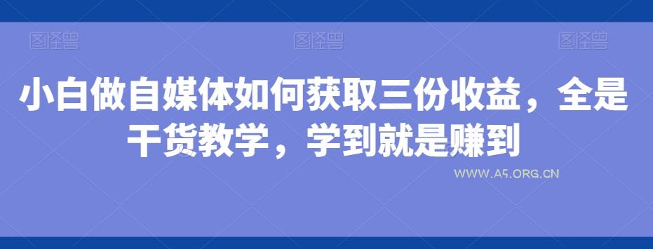 小白做自媒体如何获取三份收益,全是干货教学,学到就是赚到-A5资源网