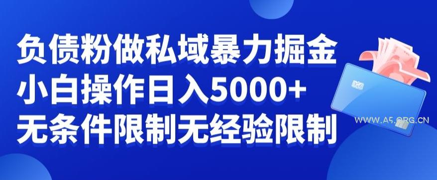 负债粉私域暴力掘金,小白操作入5000,无经验限制,无条件限制【揭秘】-A5资源网
